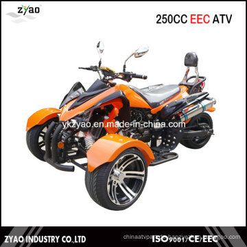 200ccm Trike ATV Kawasaki Quad Heißer Verkauf in Deutschland 250cc Trike ATV mit EEC Approved